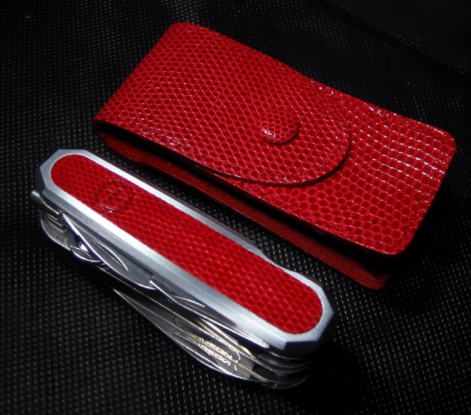 Minathor Lizard Club Version 1.551.46.702