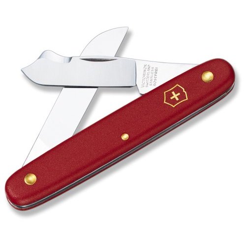 Grafter with Red Scales