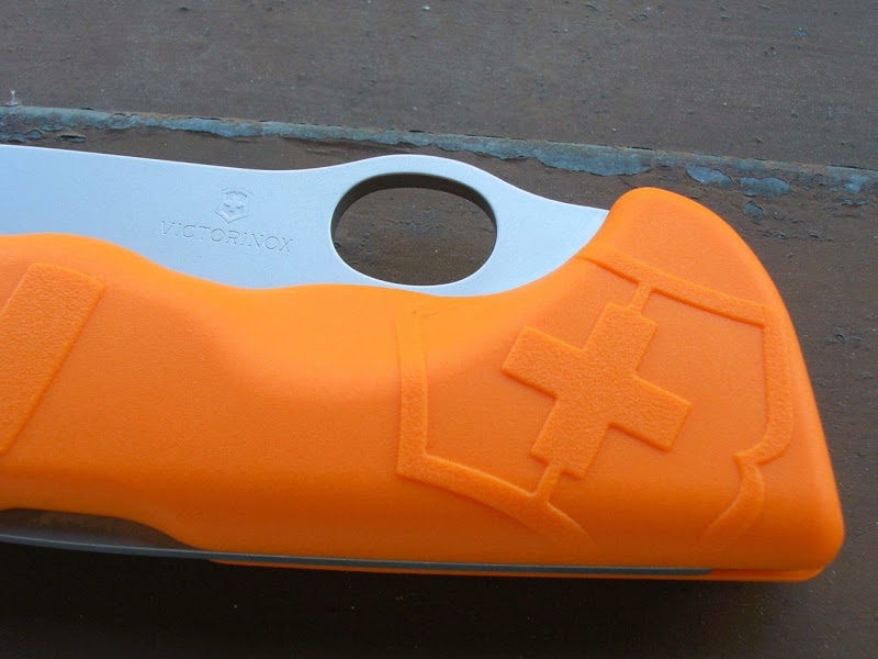 Close-up of the Scales
