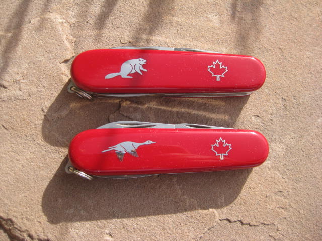 Picture by ColoSwiss