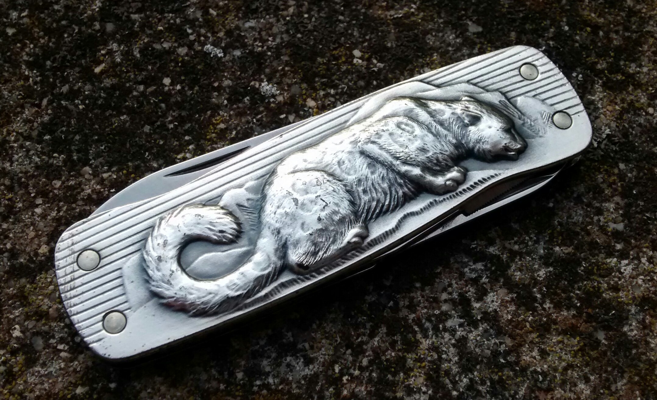 Front scale of the SnowLeopard model