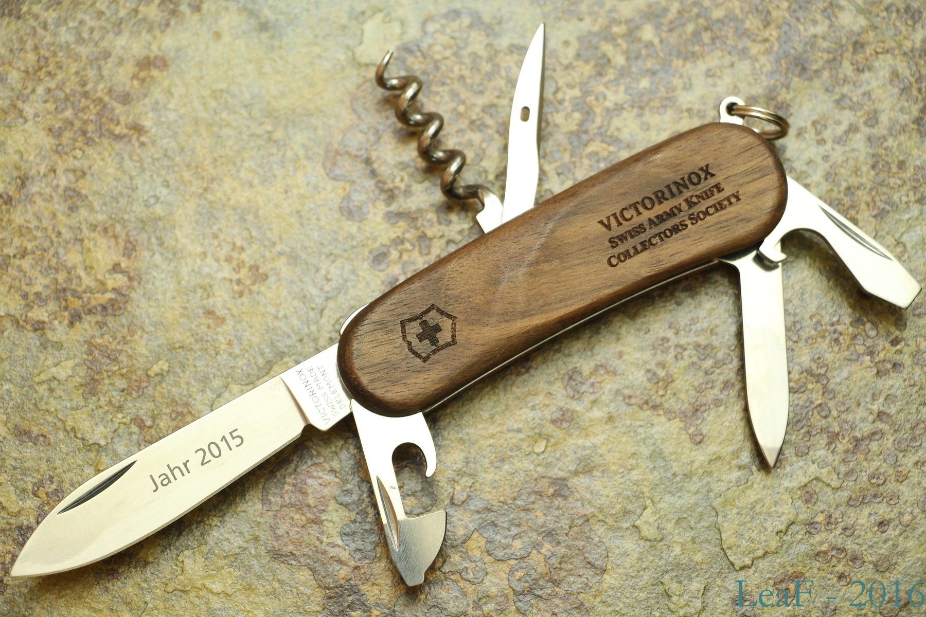VSAKCS 2015 - Evolution Wood 10
Front